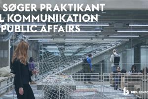 praktikant efterår 2025 